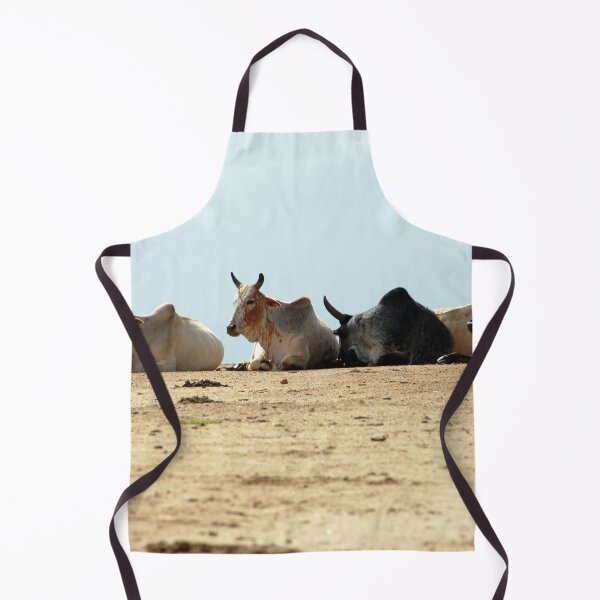 Item preview, African Cows Resting on the Road, Ethiopia, Africa designed and sold by worldways.