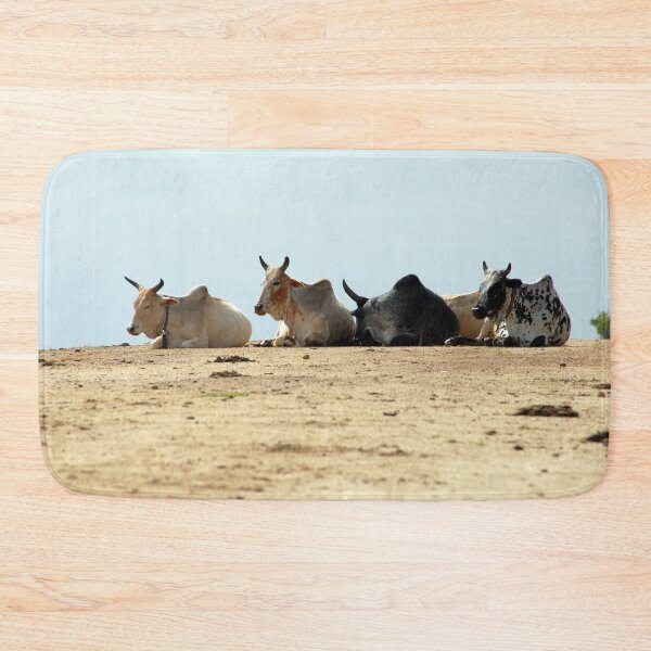 Item preview, African Cows Resting on the Road, Ethiopia, Africa designed and sold by worldways.