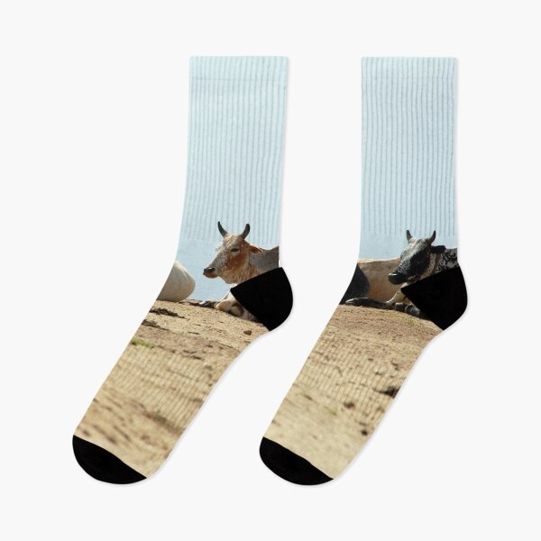 Item preview, African Cows Resting on the Road, Ethiopia, Africa designed and sold by worldways.