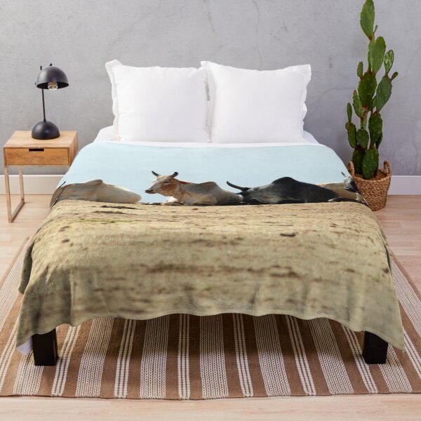Item preview, African Cows Resting on the Road, Ethiopia, Africa designed and sold by worldways.