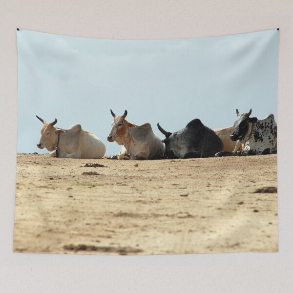 Item preview, African Cows Resting on the Road, Ethiopia, Africa designed and sold by worldways.