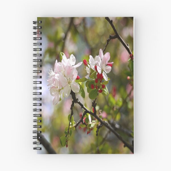 Item preview, Spring Blossoms in the Southern Hemisphere 2 designed and sold by RGKphotos.