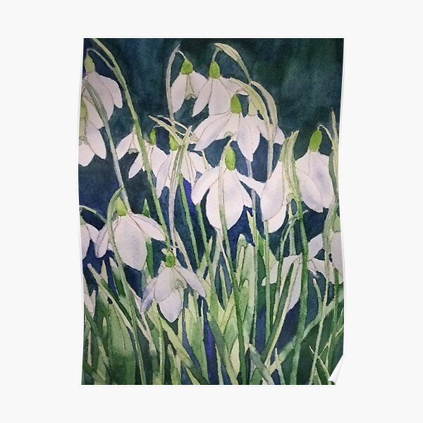 Snowdrops watercolour painting Poster