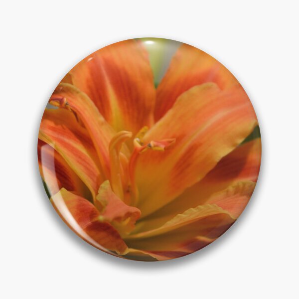 Item preview, Orange Lily designed and sold by TheaShutterbug.