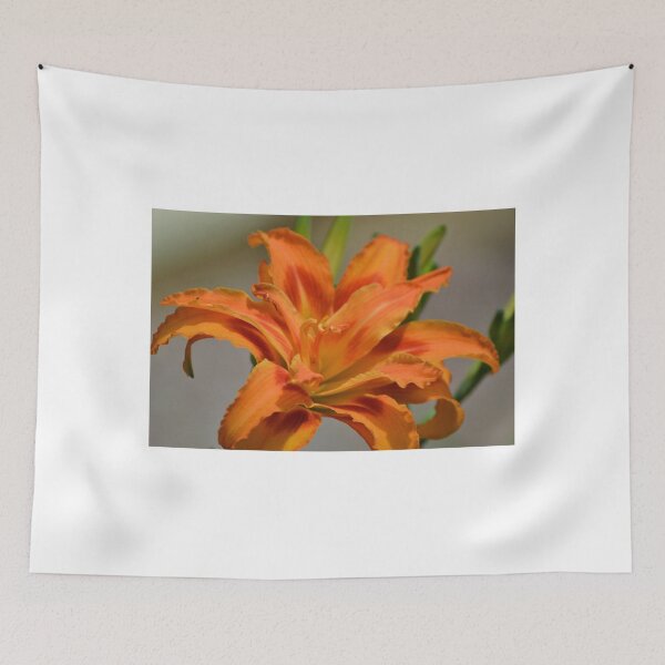 Item preview, Orange Lily designed and sold by TheaShutterbug.