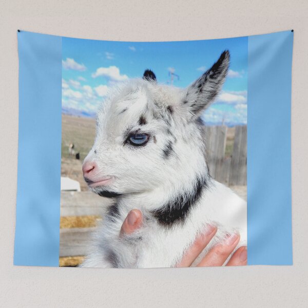 Item preview, blue eyed goat  designed and sold by Stephanie  Skeem.
