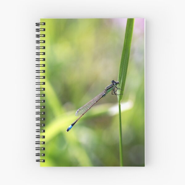 Item preview, Rambur's Forktail designed and sold by Bill Morgenstern.
