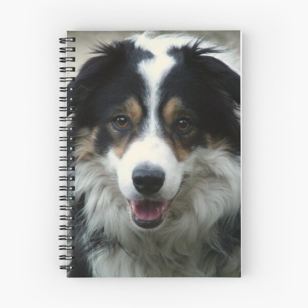 Item preview, My Bonny Laddie. designed and sold by Michael Haslam.
