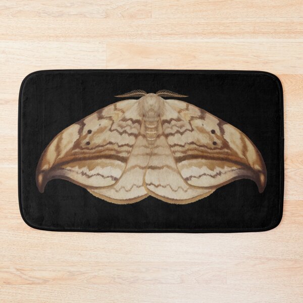 Item preview, Arched Hooktip moth designed and sold by Entomologize.