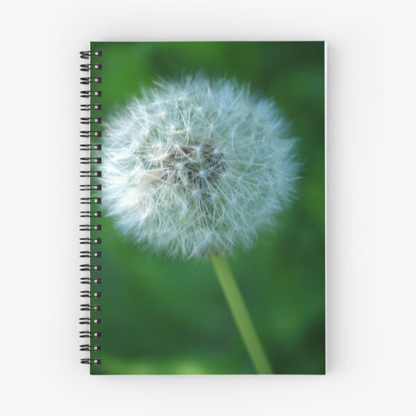 Item preview, Wishful Thinking designed and sold by Heather Miletich.