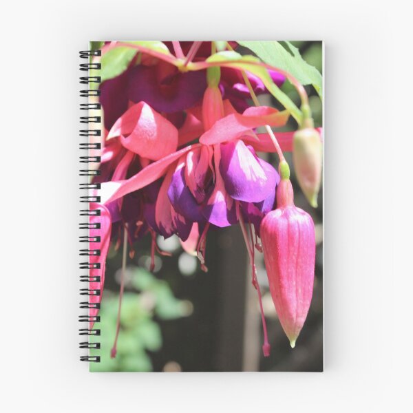 Item preview, Fabulous Fuschia designed and sold by signaturelaurel.