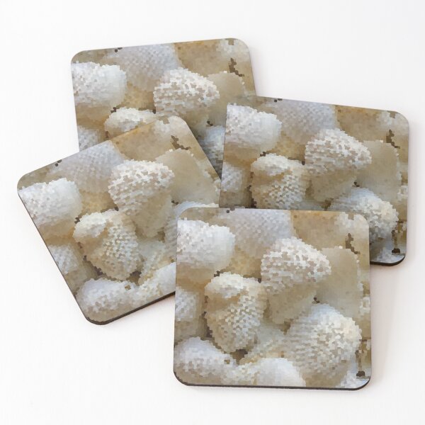 Aperçu de l'œuvre Coquilles couvertes de sucre - 1 créée et vendue par kogistudio-5.