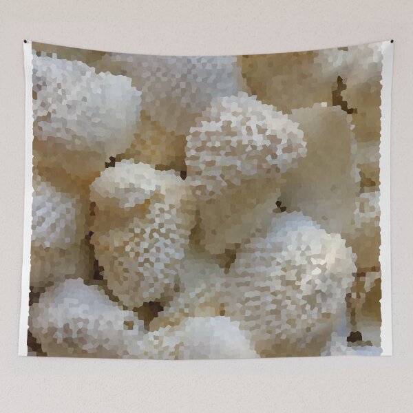 Item preview, Conchas cubiertas de azúcar - 1 designed and sold by kogistudio-5.