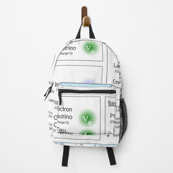 Standard Model Backpack
