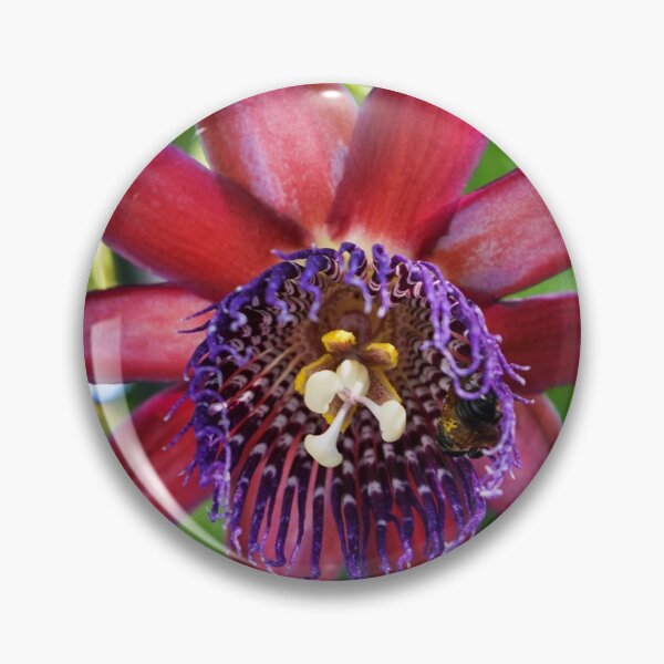 Item preview, Passion Flower designed and sold by Ollivrosa.
