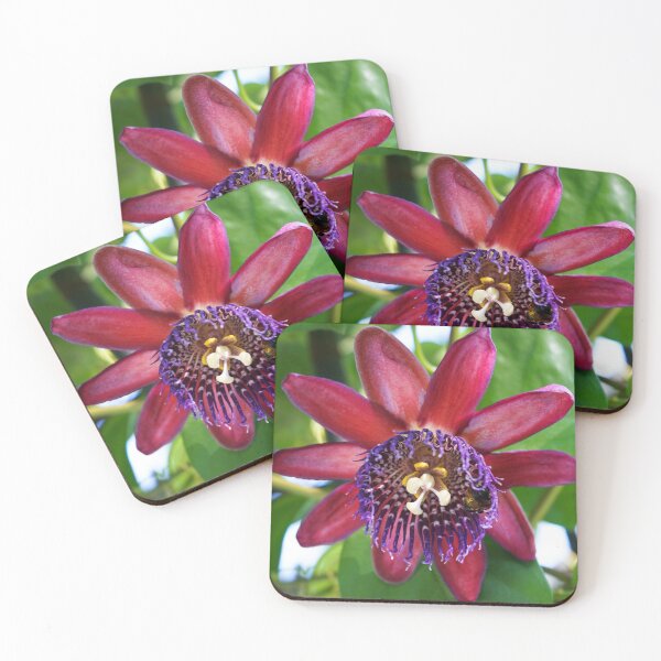Item preview, Passion Flower designed and sold by Ollivrosa.