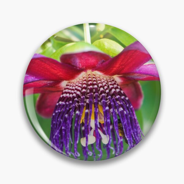 Item preview, Passionflower Profile  designed and sold by Ollivrosa.
