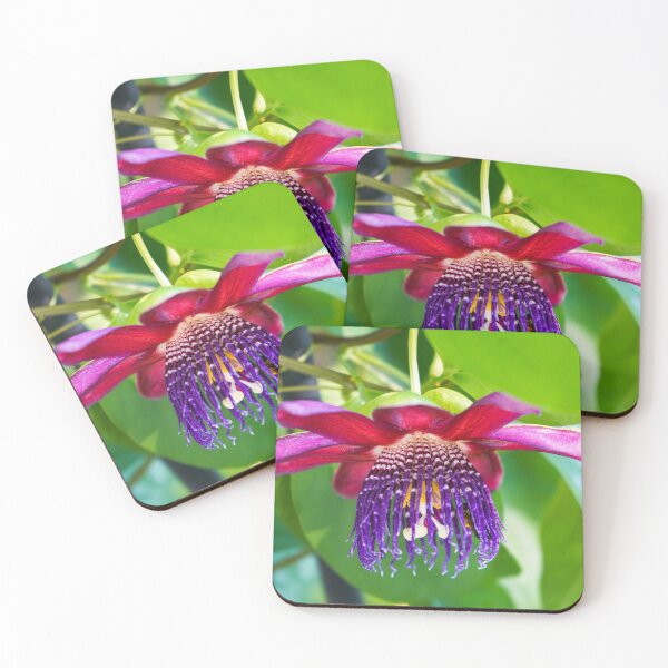 Item preview, Passionflower Profile  designed and sold by Ollivrosa.