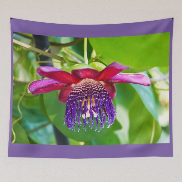 Item preview, Passionflower Profile  designed and sold by Ollivrosa.