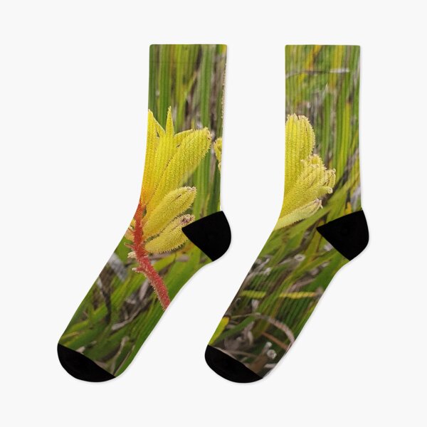 Item preview, Yellow Kangaroo Paw Plant designed and sold by kristysuedesign.