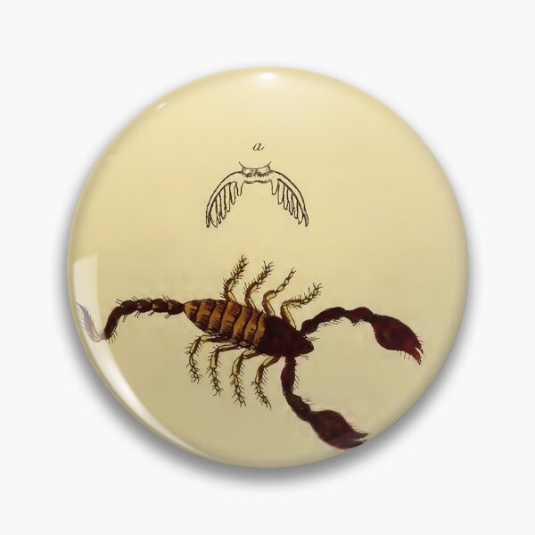 Item preview, Scorpio Illustration from 1821 designed and sold by VintageAndy.