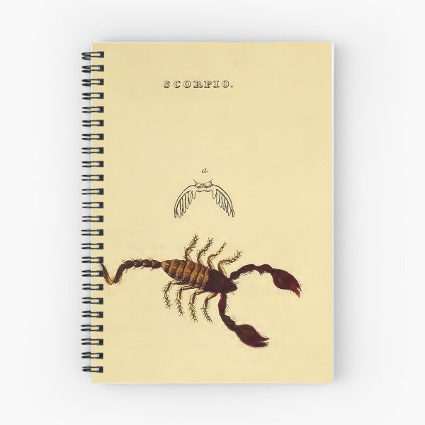 Item preview, Scorpio Illustration from 1821 designed and sold by VintageAndy.