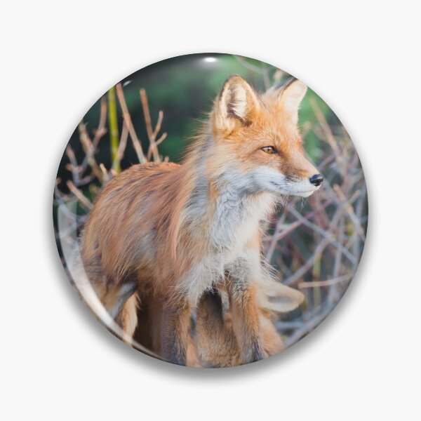 Item preview, Red Fox mom and kits designed and sold by Jukka Jantunen.