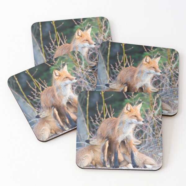 Item preview, Red Fox mom and kits designed and sold by Jukka Jantunen.