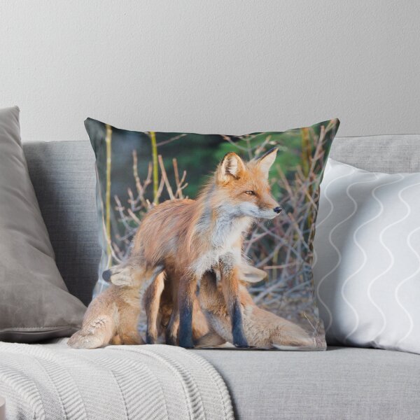 Item preview, Red Fox mom and kits designed and sold by Jukka Jantunen.