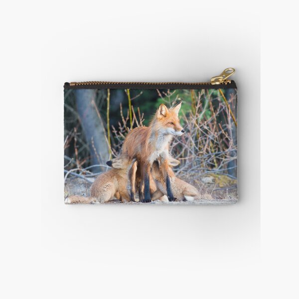 Item preview, Red Fox mom and kits designed and sold by Jukka Jantunen.