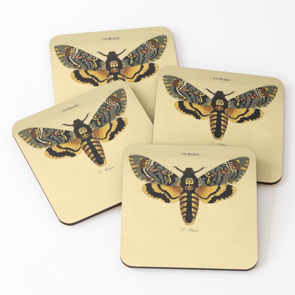 Artikelvorschau, Sphinx Moth Illustration von 1821 entworfen und verkauft von VintageAndy.