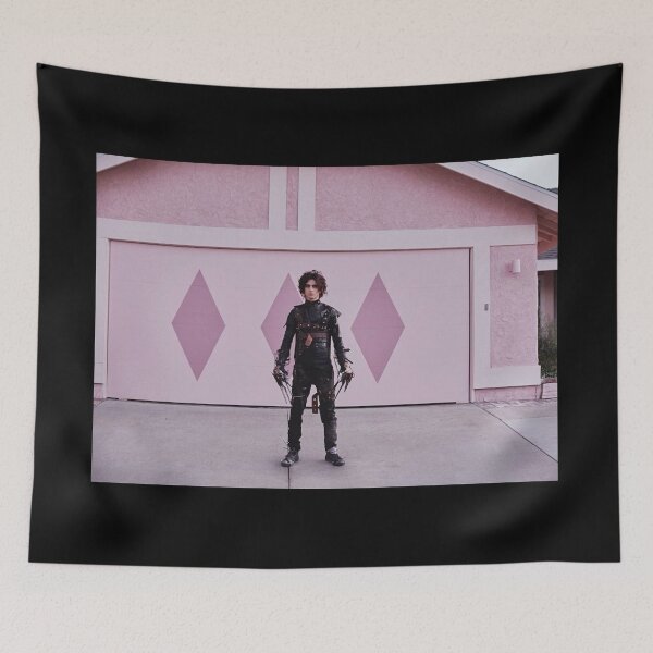 Item preview, Timothee Chalamet Edward Scissorhands Superbowl designed and sold by shreya17.