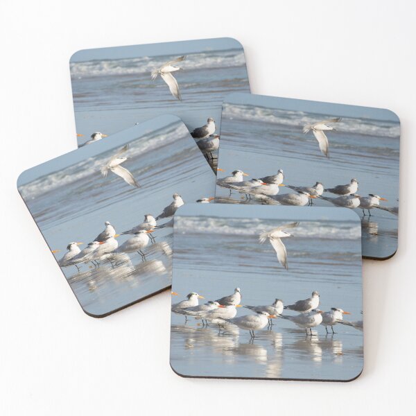 Item preview, Gulls at the beach designed and sold by Zina Stromberg.