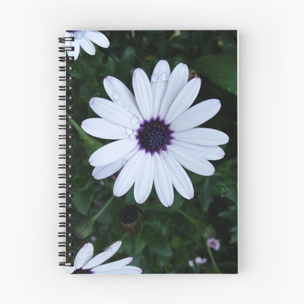 Artikelvorschau, Morgenblume entworfen und verkauft von Albrithr.