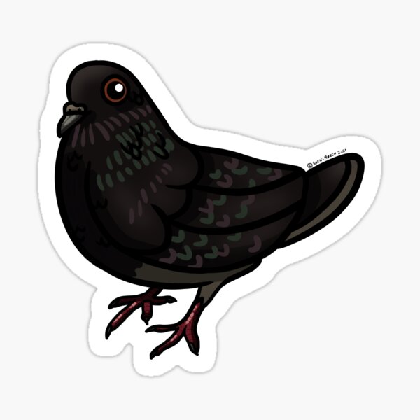 Funky Little Pigeon Sticker for Sale by sillysellsstuff