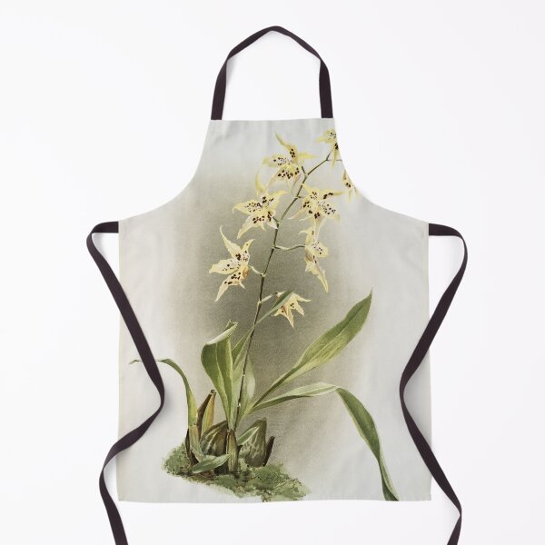 Item preview, Reichenbachia: Orchids Illustrated and Described designed and sold by EsotericBotanic.