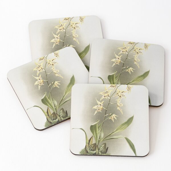 Item preview, Reichenbachia: Orchids Illustrated and Described designed and sold by EsotericBotanic.