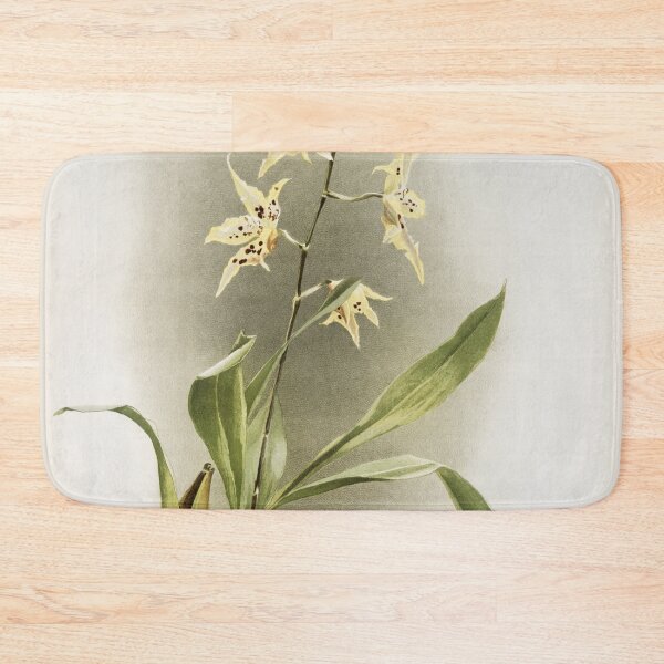 Item preview, Reichenbachia: Orchids Illustrated and Described designed and sold by EsotericBotanic.
