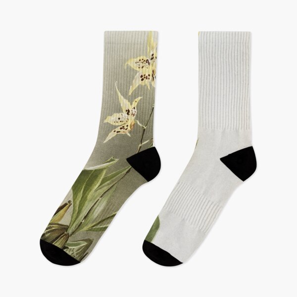 Item preview, Reichenbachia: Orchids Illustrated and Described designed and sold by EsotericBotanic.