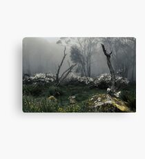 Fogscape Canvas Print