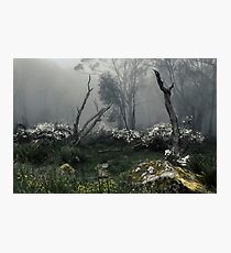 Fogscape Photographic Print