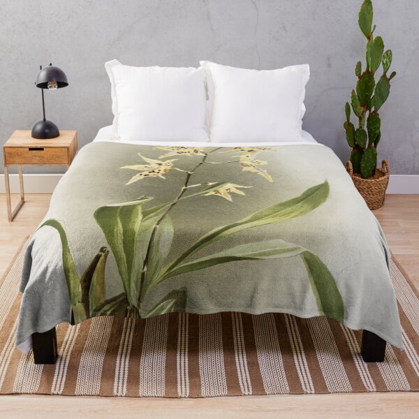 Item preview, Reichenbachia: Orchids Illustrated and Described designed and sold by EsotericBotanic.