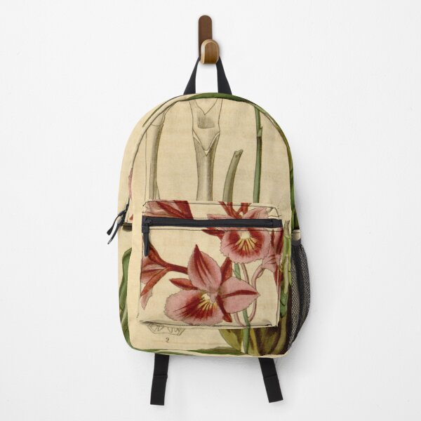 Item preview, Broughtonia sanguinea (1836) designed and sold by EsotericBotanic.