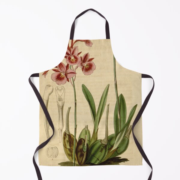 Item preview, Broughtonia sanguinea (1836) designed and sold by EsotericBotanic.