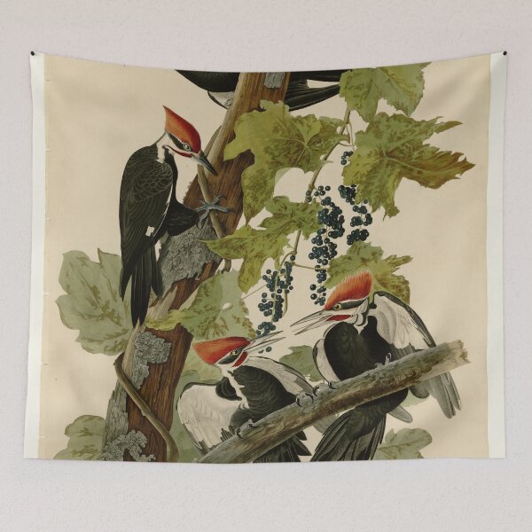 Item preview, 111 Pileated Woodpecker designed and sold by Bird-Lore.