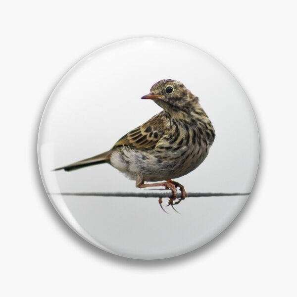 Item preview, Bird on a Wire designed and sold by Liz Lane.
