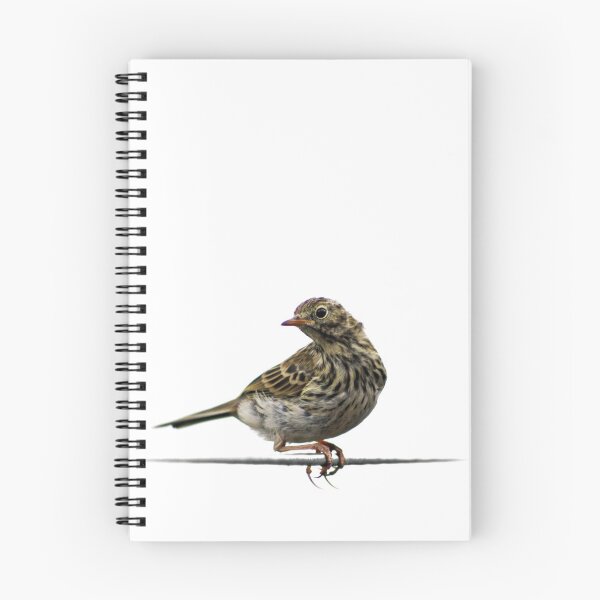 Item preview, Bird on a Wire designed and sold by Liz Lane.