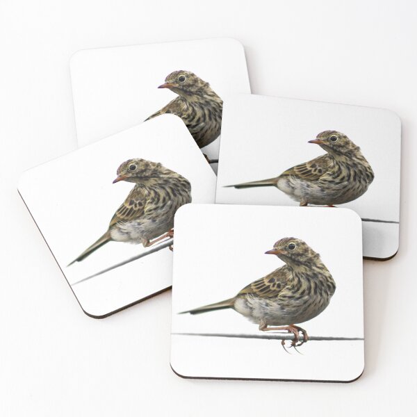 Item preview, Bird on a Wire designed and sold by Liz Lane.