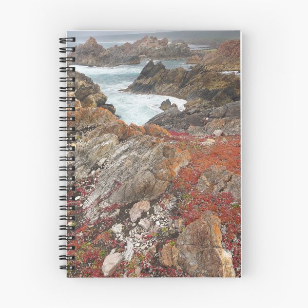 Item preview, Tarkine Coast, Tasmania, Australia designed and sold by Kevin McGennan.