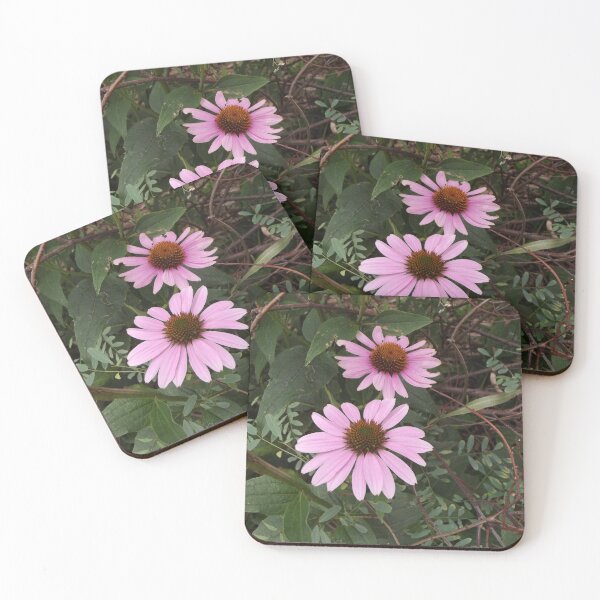 Item preview, Echinacea flowers designed and sold by greentiger1.